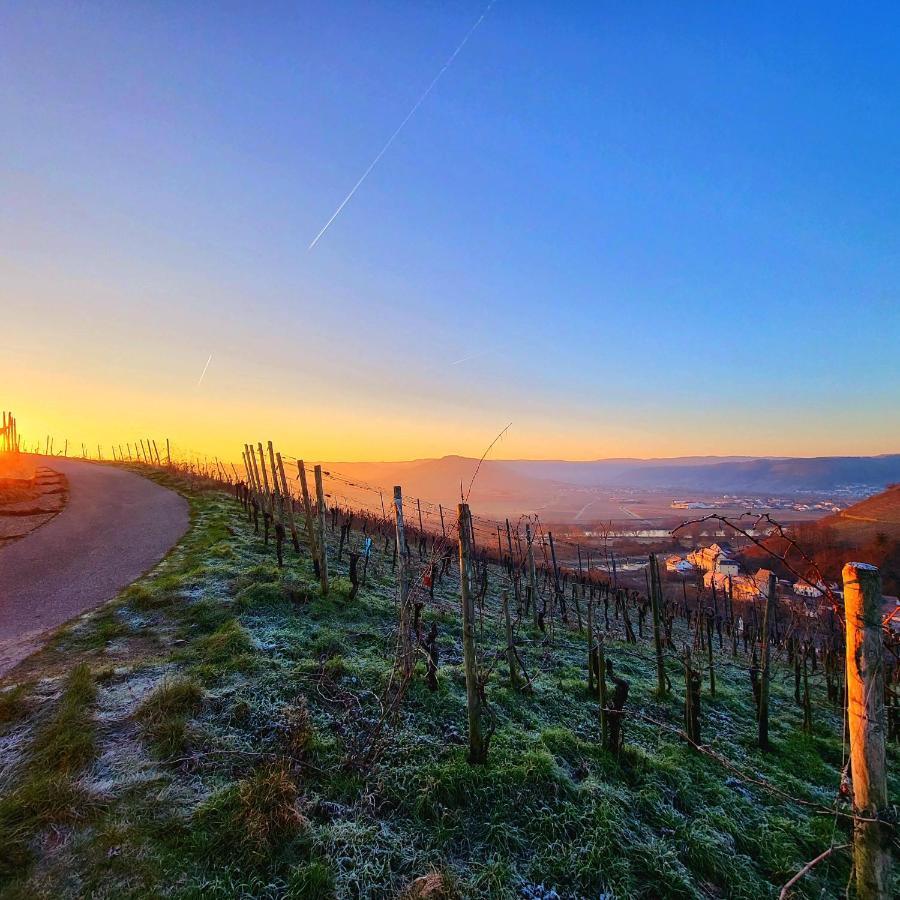 Ferienwohnung An Der Mosel 孔茨 外观 照片